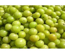 Fresh Nellikaai Bungkus (Ais)
