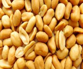 Kacang