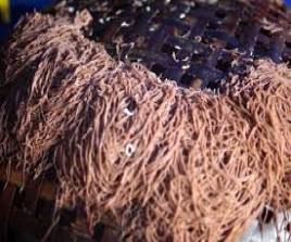 Kewaru Puttu Mayam