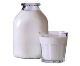 Susu Lembu